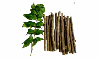 Natural Neem Chew Sticks/Tree Datun Twigs Organic manual Toothbrush