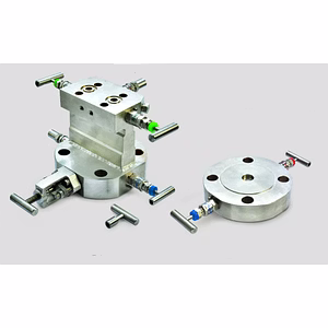 Double block Bleed Valve