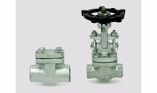 Forged Fittings and Valves