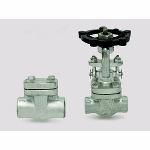 Forged Fittings and Valves