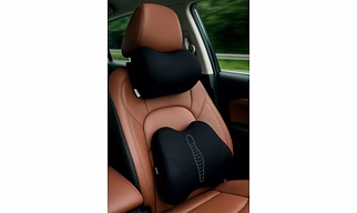 SET OF TWO CAR NECK AND BACK SUPPORT