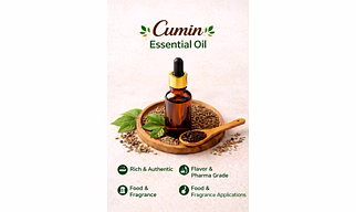 Cumin Seed Essential Oil