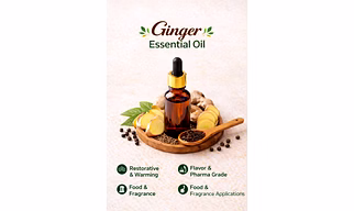 Ginger Essential Oil