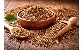 Cumin Seeds from India - Food Grade, Bulk Supply