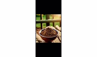 Cowdung powder
