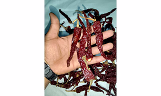 Byadagi Dry Red Chilli – GI Tagged Export Quality from Karnataka, India