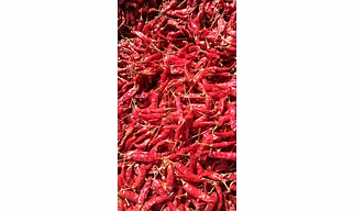 Teja Deluxe Red Chilli (High Heat | Export Grade | India Origin)