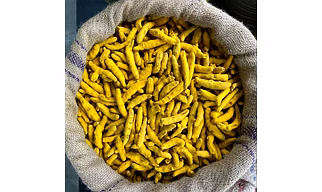 Organic Turmeric Fingers