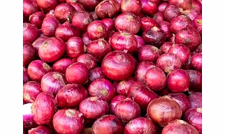 Red onion
