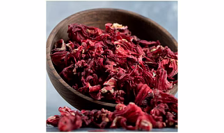 Hibiscus Flower (Hibiscus sabdariffa)