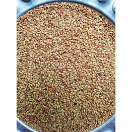 lucernce seed 1 year