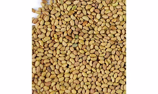 ALFALFA SEED 3 YEAR