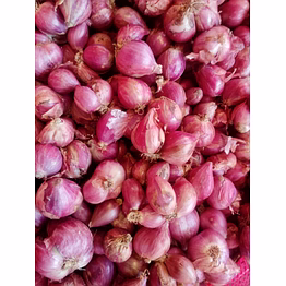 indian shallots