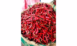 Dried chilli