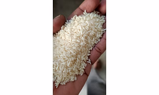 Non-basmathi Rice