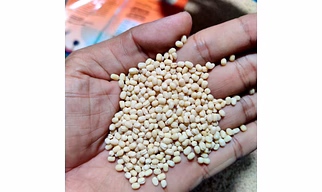 Indian dhal verities