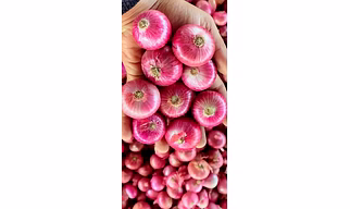 Indian Big Onion