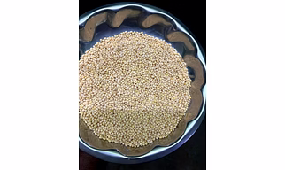 Urad dal
