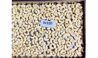 Cashew