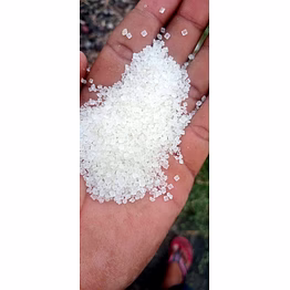 sugarcane sugar