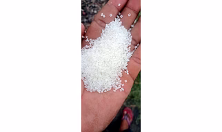 Sugarcane sugar