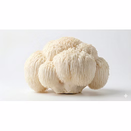 lion's mane mushroom