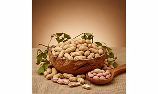 Raw Groundnut/Peanut