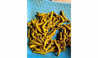 Whole turmeric and Raisins