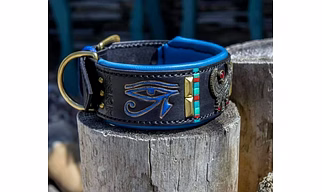Dog collars