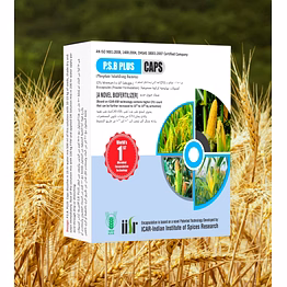 psb plus caps -(phosphate solubilizing bacteria)
