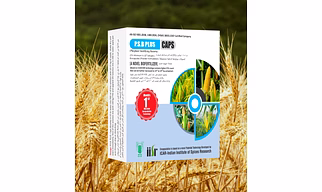 PSB PLUS CAPS -(Phosphate Solubilizing Bacteria)