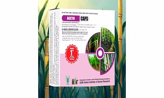 ACETO CAPS -ACETOBACTER