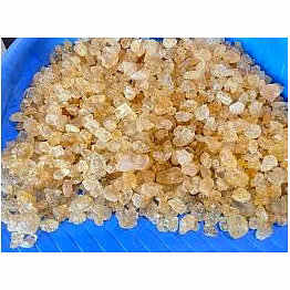 gond/gum ghatti