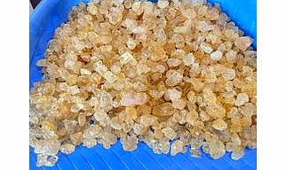 Gond/Gum Ghatti