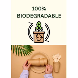 biodegradable paper plates(sugarcane bagasse)