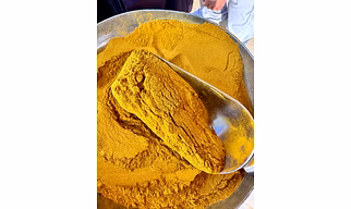 Turmeric Powder