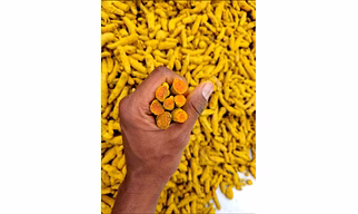 Turmeric Finger