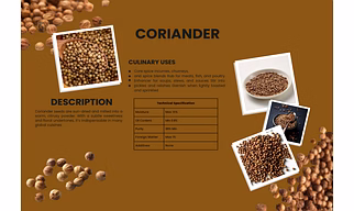 Coriander