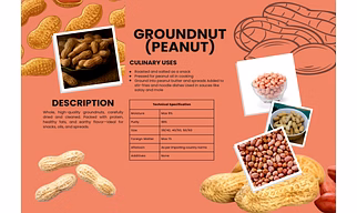 Groundnut