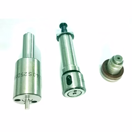 nozzle, elements and delivery valve
