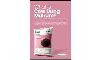 Cow Dung Manure