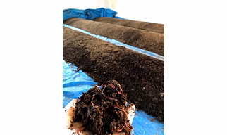 Vermicompost Fertiliser