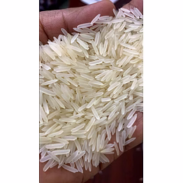 rice sella 1121