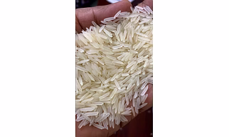 Rice Sella 1121