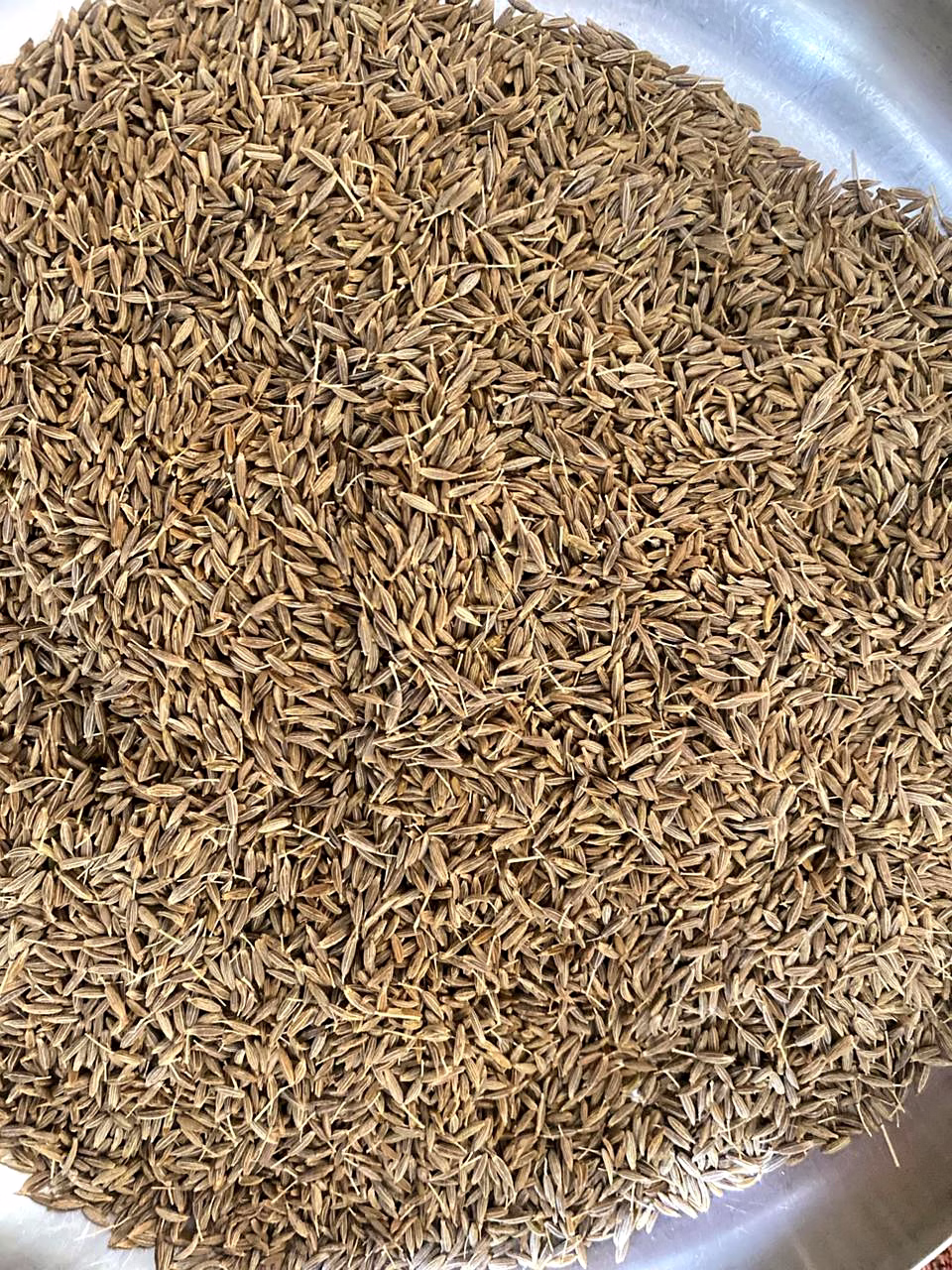 Cumin Seeds image 1