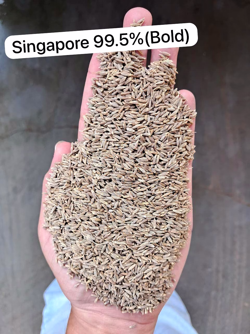Cumin Seeds image 2