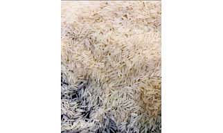 Basmati Rice