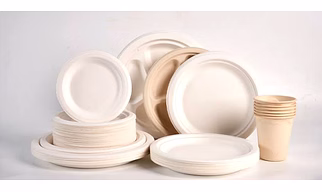 Foxnut, sugarcane basgges products