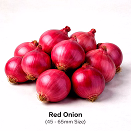vayus global red onion with 45 - 65mm size