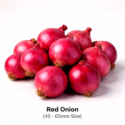 vayus global red onion with 45 - 65mm size